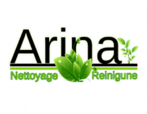 Arina Logo
