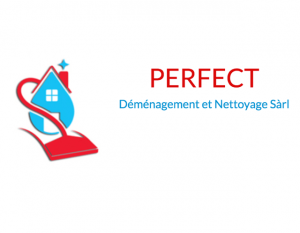 Perfect demenagement logo